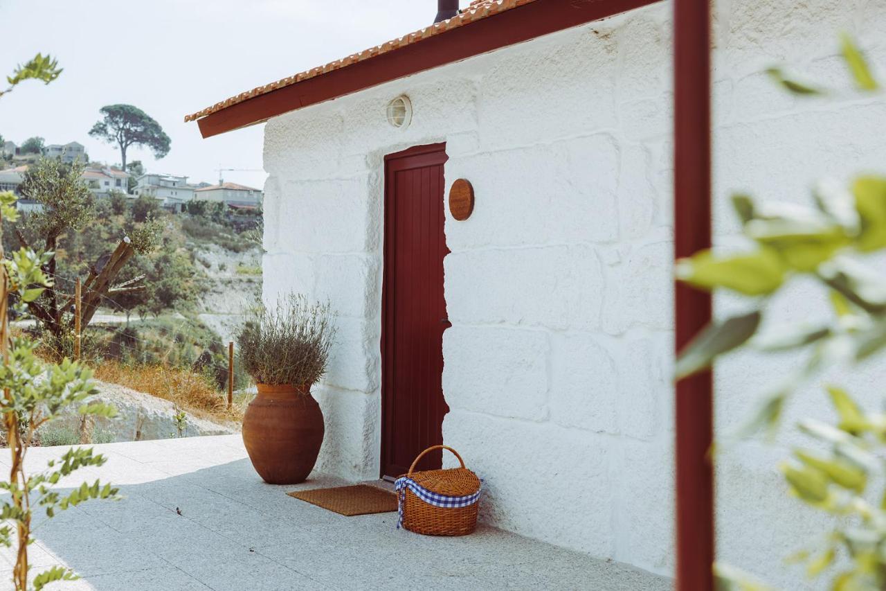 Oliveiras Village — Agroturismo Амаранте Екстериор снимка