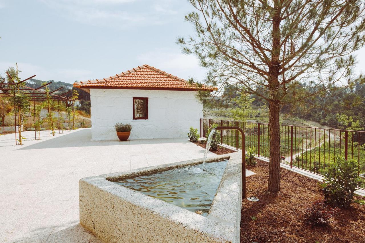 Oliveiras Village — Agroturismo Амаранте Екстериор снимка